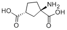 Structure of (1R,3R)-1-AMINOCYCLOPENTANE-1,3-DICARBOXYLIC ACID
