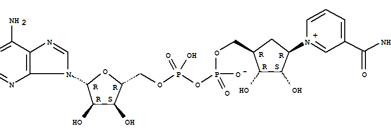 Structure of carbanicotinamide adenine dinucleotide
