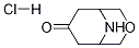 Structure of 3-Oxa-9-azabicyclo[3.3.1]nonan-7-one Hydrochloride