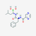 Structure of ((S)-3-Methyl-1-((S)-3-phenyl-2-(pyrazine-2-carboxaMido)propanaMido)butyl)boronic acid