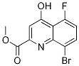 Structure of Methyl8-bromo-5-fluoro-4-hydroxyquinoline-2-carboxylate