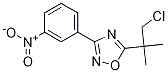 Structure of 5-(1-Chloro-2-methylpropan-2-yl)-3-(3-nitrophenyl)-1,2,4-oxadiazole