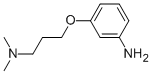 Structure of 3-(3-DIMETHYLAMINO-PROPOXY)-PHENYLAMINE