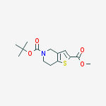 Structure of 5-tert-Butyl 2-methyl 6,7-dihydrothieno[3,2-c]pyridine-2,5(4H)-dicarboxylate