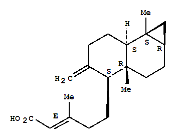 Structure of 2-Pentenoicacid, 5-(decahydro-3a,7b-dimethyl-5-methylene-1H-cyclopropa[a]naphthalen-4-yl)-3-methyl-,[1aR-[1aa,3ab,4b(E),7aa,7ba]]-