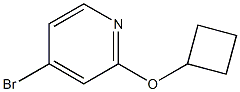 Structure of 4-broMo-2-cyclobutoxypyridine
