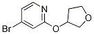 Structure of 4-BroMo-2-(tetrahydrofuran-3-yloxy)pyridine