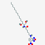 Structure of C-6 NBD-dihydro-Ceramide