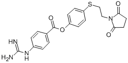 Structure of 4-(2-succinimidoethylthio)phenyl 4-guanidinobenzoate