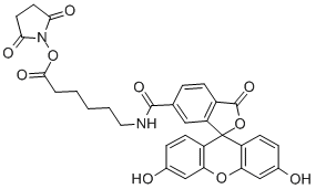 Structure of FLUORESCEIN-5(6)-CARBOXAMIDOCAPROIC ACID N-SUCCINIMIDYL ESTER