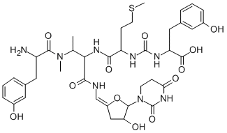 Structure of MureidomycinB