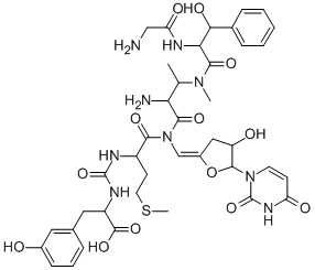 Structure of mureidomycin C