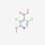 Structure of 3,5-dichloro-2-methoxypyridine-4-carboxylic Acid
