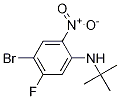 4-溴-N-(叔丁基)-5-氟-2-硝基-苯胺结构式