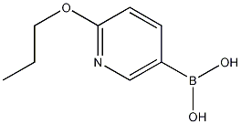 Structure of 2-Propoxypyridine-5-boronic acid