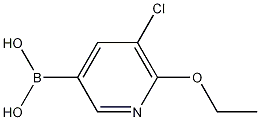 Structure of 5-Chloro-6-ethoxypyridine-3-boronic acid