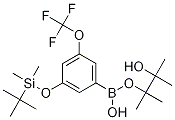 Chemical structure of 3-(t-Butyldimethysilyloxy)-5-trifluoromethoxyphenylboronic acid,pinacol ester