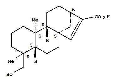 Structure of Pseudolaric acid D