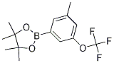 Structure of 3-Methyl-5-(trifluoromethoxy)phenylboronic acid, pinacol ester