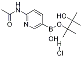Structure of 2-Acetamidopyridine-5-boronic acid,pinacol ester,HCl