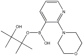 4-(3-(4,4,5,5-四甲基-1,3,2-二氧杂环戊硼烷-2-基)吡啶-2-基)吗啉结构式