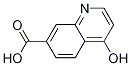 Structure of 4-hydroxyquinoline-7-carboxylic acid