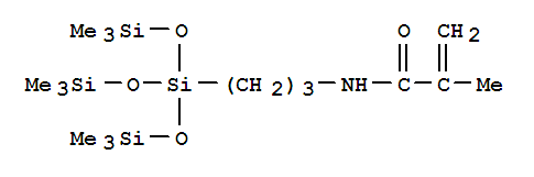 2-Propenamide,2-methyl-N-[3-[3,3,3-trimethyl-1,1-bis[(trimethylsilyl)oxy]-1-disiloxanyl]propyl]-结构式