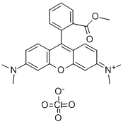 Structure of TETRAMETHYLRHODAMINE METHYL ESTER PERCHLORATE