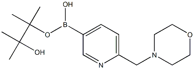 Structure of 6-(4-MorpholinylMethyl)pyridine-3-boronic acid pinacol ester