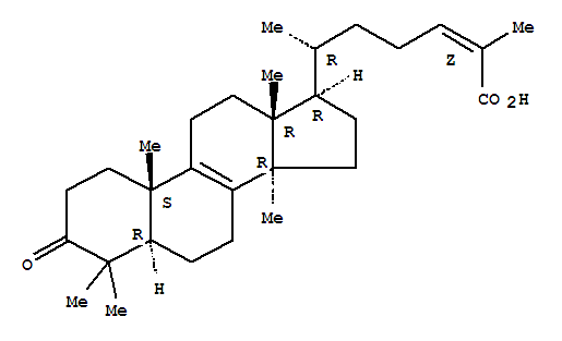 Cas Number: 117020-59-4