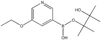 Structure of 3-ethoxy-5-(4,4,5,5-tetraMethyl-1,3,2-dioxaborolan-2-yl)pyridine