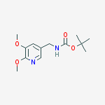 Cas Number: 1171919-86-0