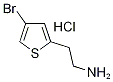 Structure of 2-(4-Bromothien-2-yl)ethylamine hydrochloride