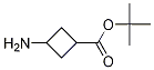 Structure of tert-Butyl 3-aminocyclobutanecarboxylate