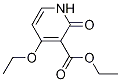 Structure of Ethyl 4-Ethoxy-2-oxo-1,2-dihydropyridine-3-carboxylate