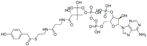 Structure of [(2R,3R,4R,5R)-5-(6-aminopurin-9-yl)-4-hydroxy-2-[[hydroxy-[hydroxy-[3-hydroxy-3-[2-[2-[2-(4-hydroxyphenyl)acetyl]sulfanylethylcarbamoyl]ethylcarbamoyl]-2,2-dimethyl-propoxy]phosphoryl]oxy-phosphoryl]oxymethyl]oxolan-3-yl]oxyphosphonic acid