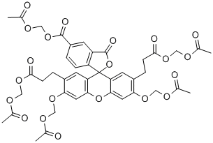 Structure of BCECF-AM