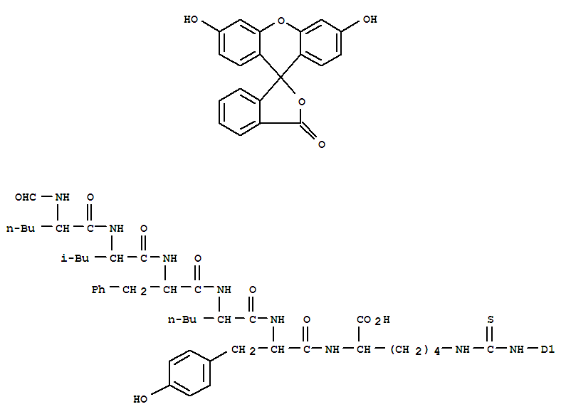 Structure of F-chemotactic peptide-fluorescein