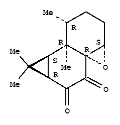 Structure of Kanshone C