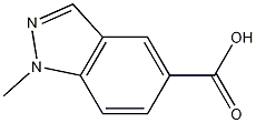 Structure of 1-Methyl-indazole-5-carboxylic acid