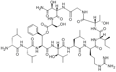 Structure of lysobactin