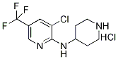 Structure of (3-Chloro-5-trifluoroMethyl-pyridin-2-yl)-piperidin-4-yl-aMine hydrochloride, 98+% C11H14Cl2F3N3, MW: 316.15