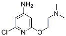 Structure of 2-chloro-6-(2-(dimethylamino)ethoxy)pyridin-4-amine