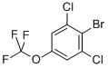 Structure of 2,6-DICHLORO-4-(TRIFLUOROMETHOXY)BROMOBENZENE