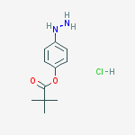 Structure of (4-hydrazinylphenyl) 2,2-dimethylpropanoate;hydrochloride