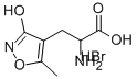 Structure of (R,S)-2-AMINO-3-(3-HYDROXY-5-METHYL-4-ISOXAZOLYL)PROPIONIC ACID HYDROBROMIDE