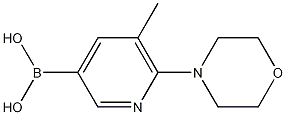 Structure of B-[5-Methyl-6-(4-morpholinyl)-3-pyridinyl]boronic acid