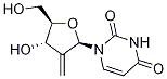 Structure of Uridine, 2'-deoxy-2'-methylene-