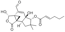 Structure of pilatin