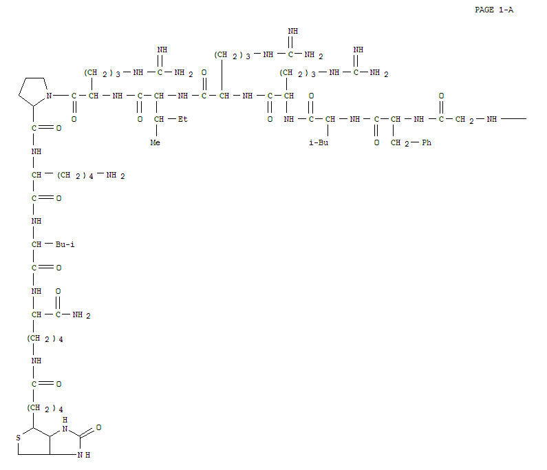 Structure of dynorphin A amide (1-13), biocytin(13)-